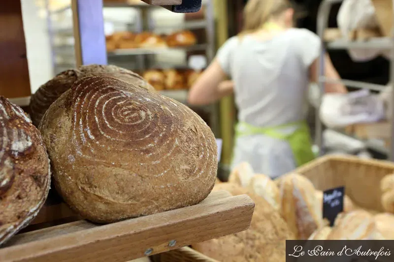 Pain levain (1)