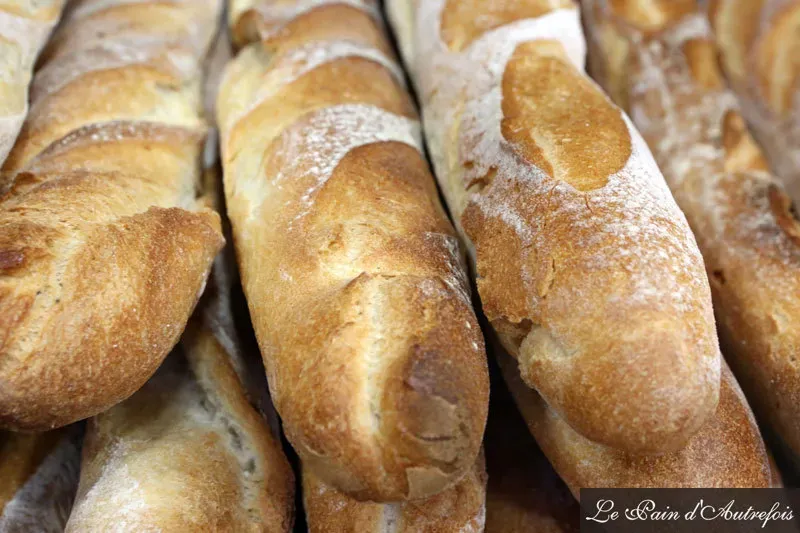 Pain levain (3)