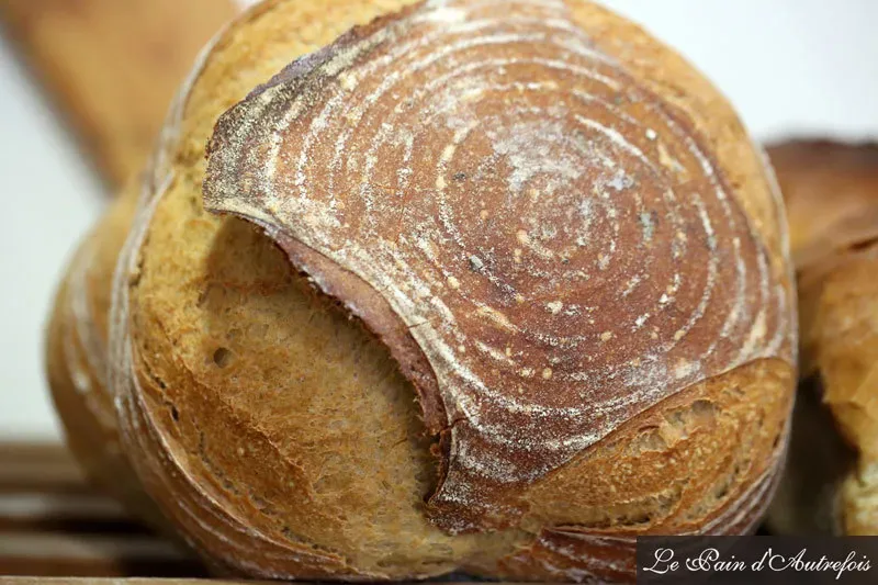 Pain levain (5)