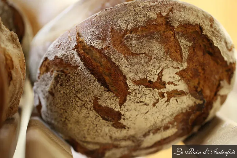Pain levain (6)